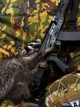 Доброй ночи, дорогие подписчики! Доброй ночи, Запорожье!