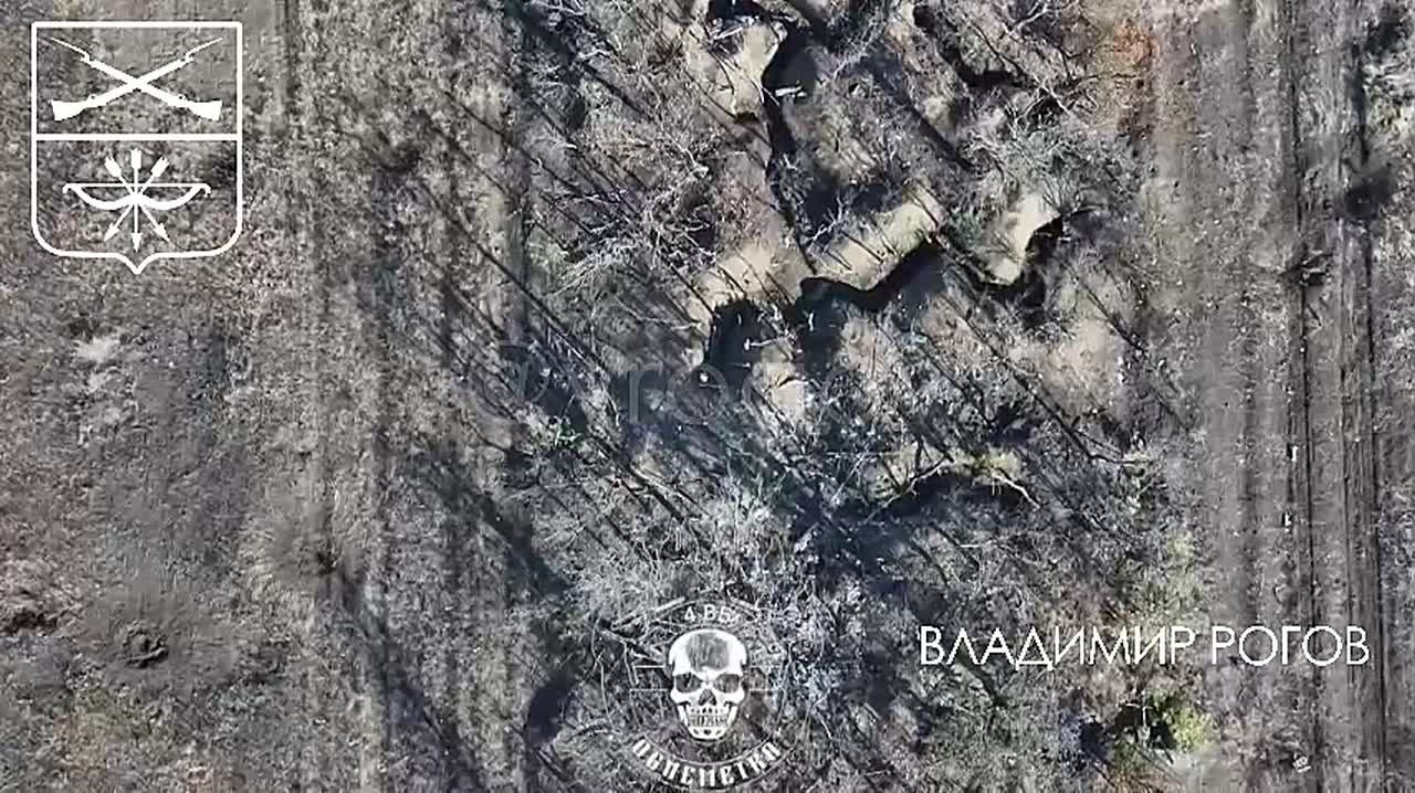 Владимир Рогов: Русские дроноводы освобождают Новороссию от боевиков ЗеРейха