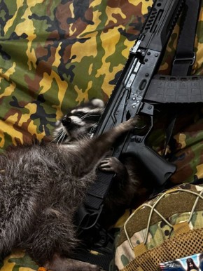 Доброй ночи, дорогие подписчики! Доброй ночи, Запорожье!