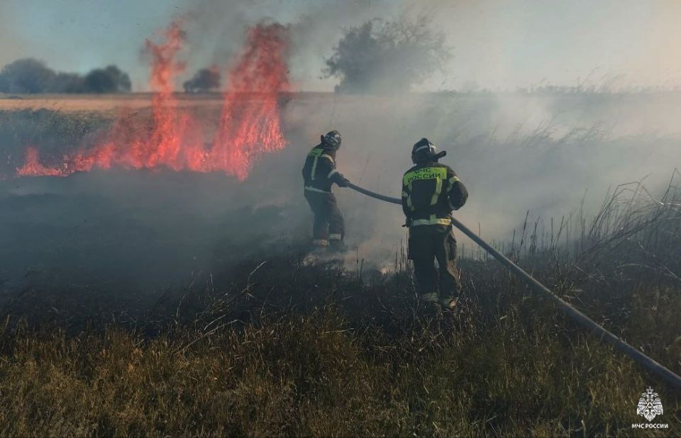 Оперативная информация за сутки