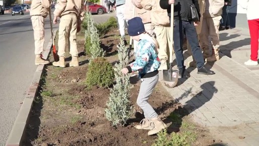 В Мелитополе ко Дню народного единства высадили деревья у исторического парка