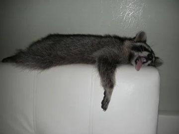 Доброй ночи, дорогие подписчики! Доброй ночи, Запорожье!