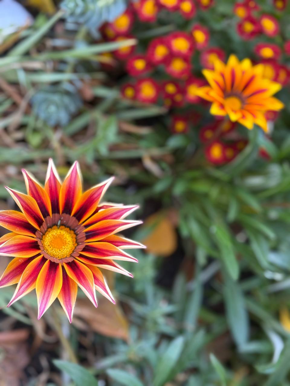 Доброе утро! Сегодня выходной, хоть и понедельник