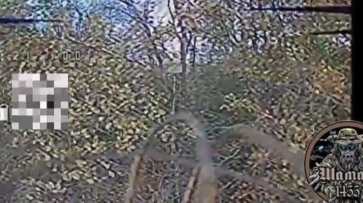    &quot;&quot; 1455       .. ,  