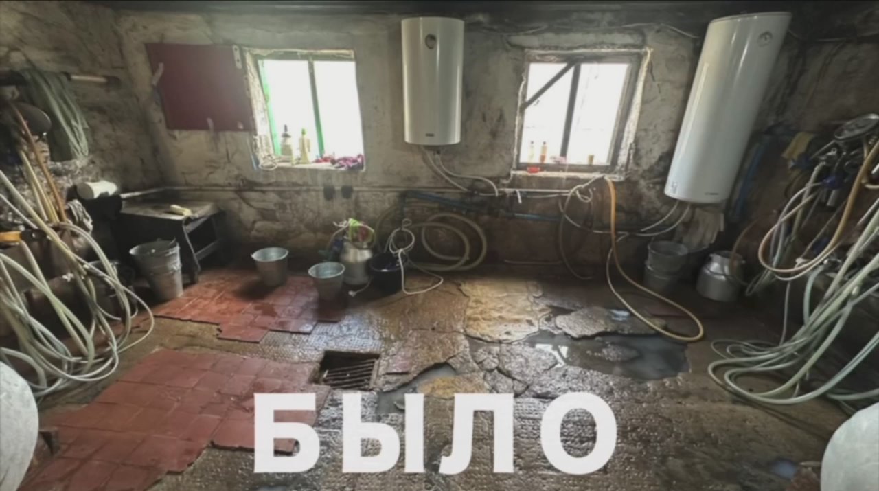 Развитие животноводческой фермы в селе Ясное