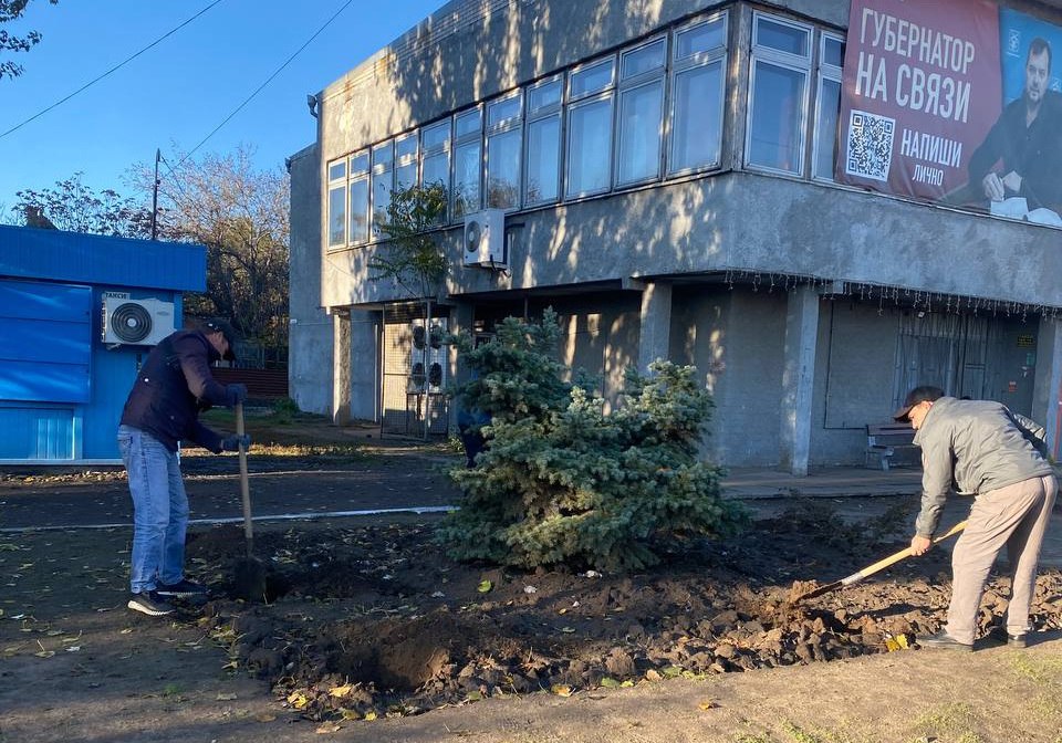 Ко Дню народного единства в Молочанске высадили розы Ко Дню народного единства в Молочанске высадили розы