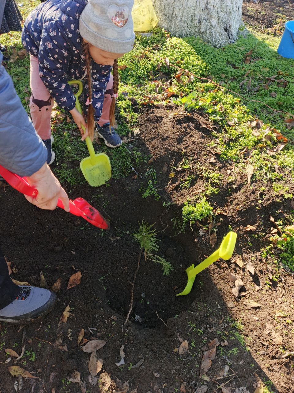 Экологическая акция ко Дню народного единства Экологическая акция ко Дню народного единства