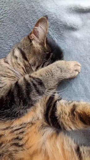 День подошел к концу. Укладываемся пораньше, ведь завтра праздник