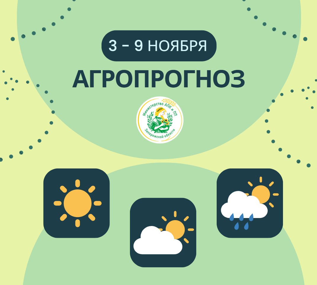 Андрей Сигута: Агропрогноз | 3 – 9 ноября