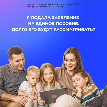 Как долго будут рассматривать заявление на единое пособие в Запорожской области?
