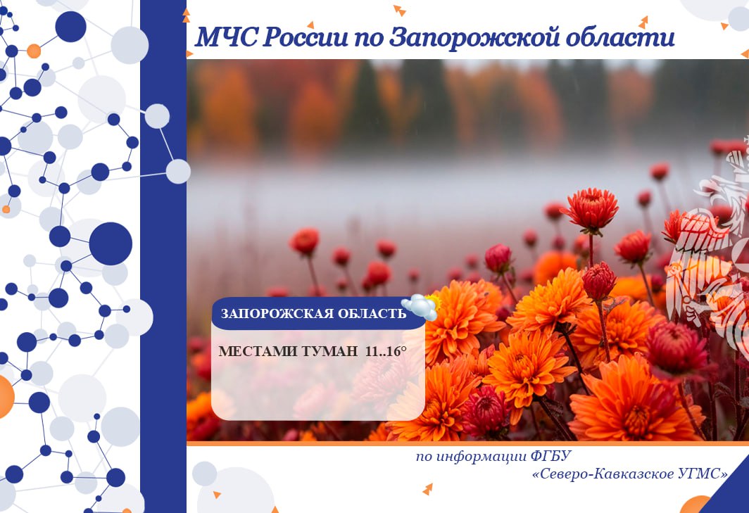 С 03 на 04 ноября на территории региона ожидается: