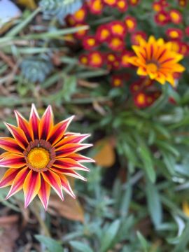 Доброе утро! Сегодня выходной, хоть и понедельник