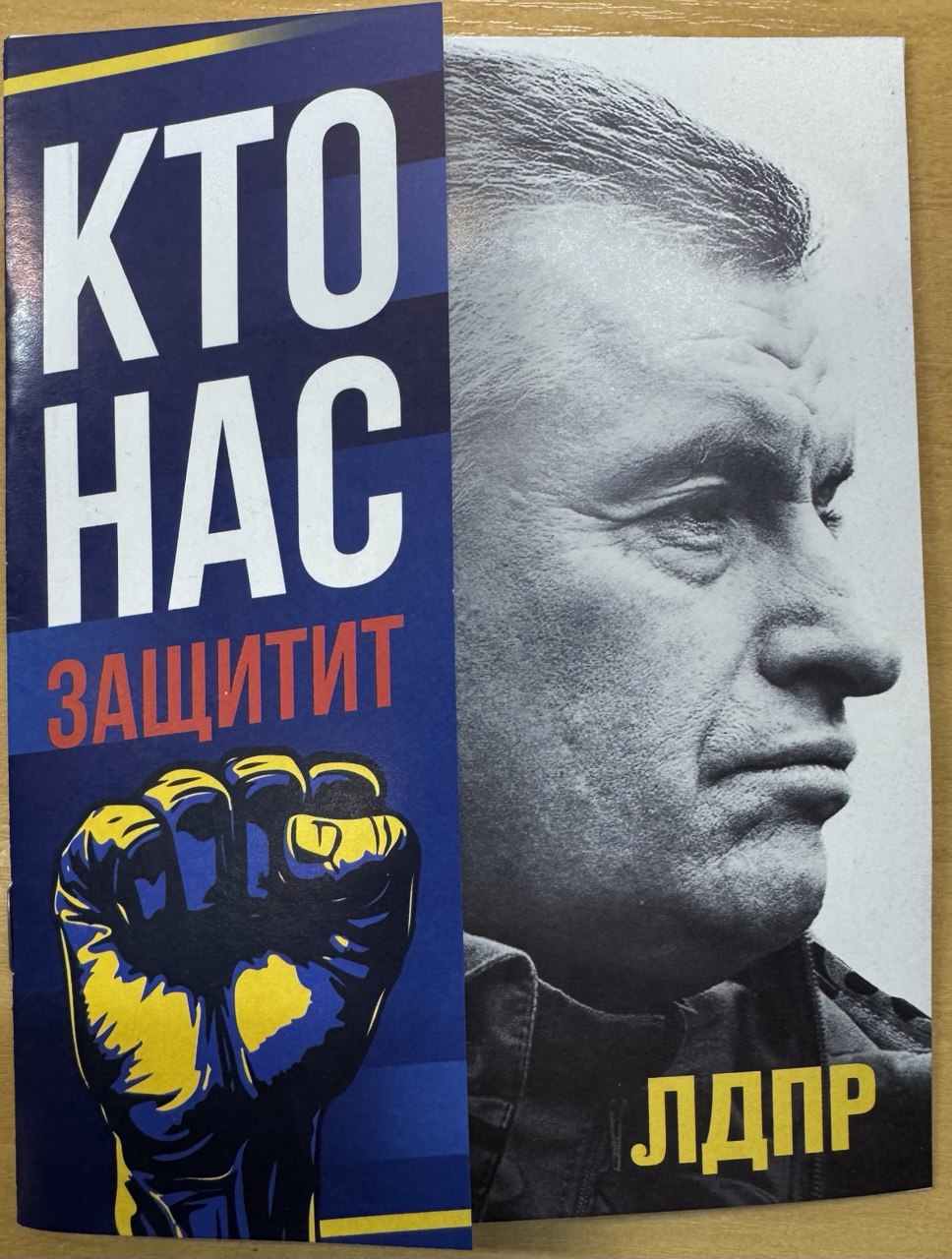Мы рады сообщить о поступлении в наше региональное отделение партии брошюры под названием "Кто нас защитит? - ЛДПР"