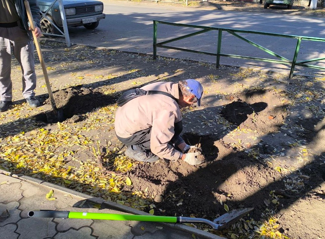 Ко Дню народного единства в Молочанске высадили розы Ко Дню народного единства в Молочанске высадили розы