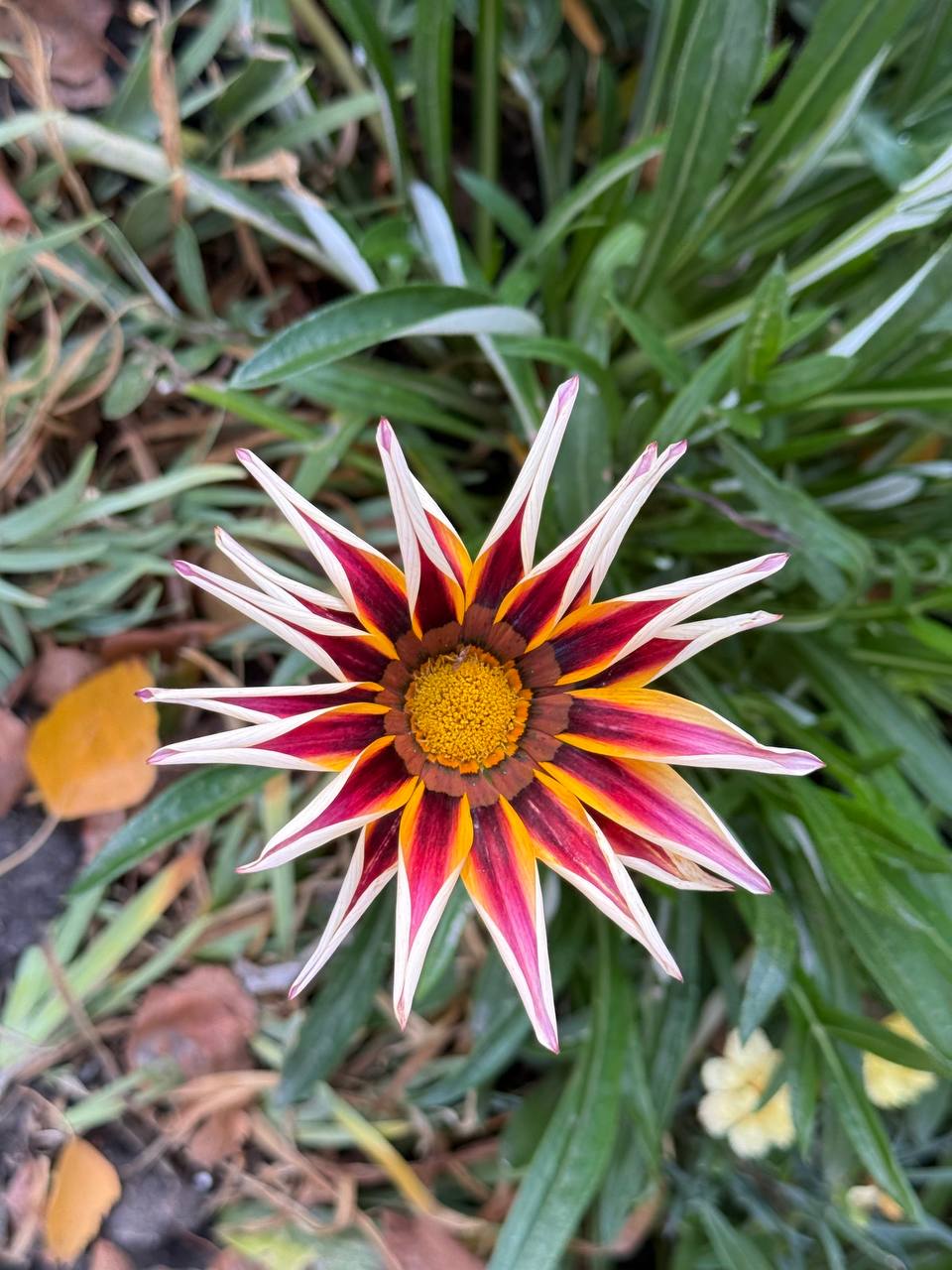 Доброе утро! Сегодня выходной, хоть и понедельник Доброе утро! Сегодня выходной, хоть и понедельник