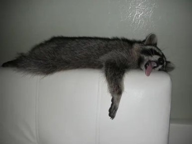 Доброй ночи, дорогие подписчики! Доброй ночи, Запорожье!