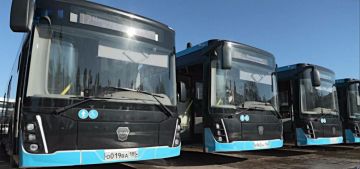 Анна Хорошун: Автопарк Бердянска и Мелитополя пополнился 140 новыми автобусами