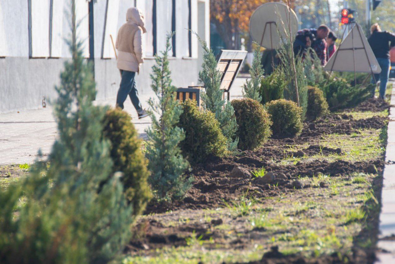 Ко Дню народного единства в Мелитополе состоялась акция по высадке деревьев у мультимедийного парка Ко Дню народного единства в Мелитополе состоялась акция по высадке деревьев у мультимедийного парка