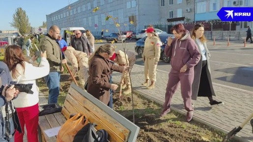 В Мелитополе высадили аллею из 40 хвойных растений и 8 лип