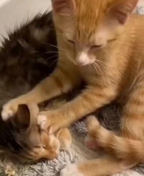 Проснулись — потянулись. Делаем зарядку, и влетаем в праздничный день