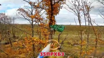 Операторы БЛА 35 гвардейского полка РХБЗ 35 армии группировки войск "Восток" уничтожают технику противника на Запорожском направлений в районе населённых пунктов Зелёный Гай и Ровнополье