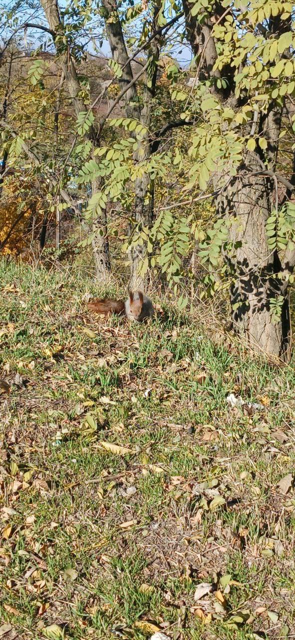 Желаем солнечного утра! Желаем бодрости и сил! Чтоб каждый день обычной жизни, Лишь только радость приносил