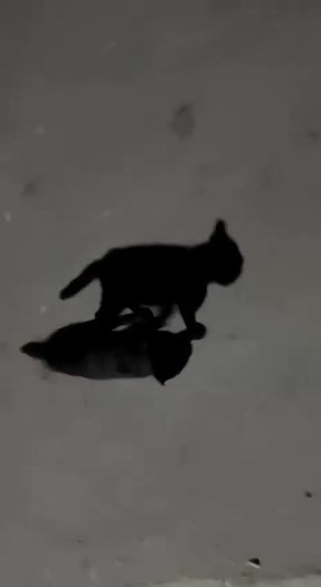 Спешим домой после работы. Осень, это когда идешь на работу еще темно, а возвращаешься — уже темно