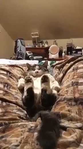 А вот и утро среды. Затяжные выходные закончились, просыпаемся и на работу