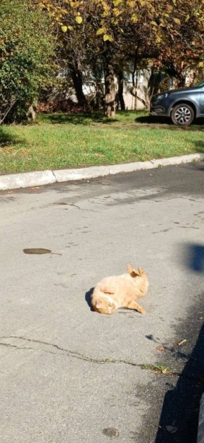 Доброго утра! Пусть вместе с ним придёт и вдохновение, пусть раннее солнце подарит хорошее настроение и уверенность в том, что всё будет чудесно