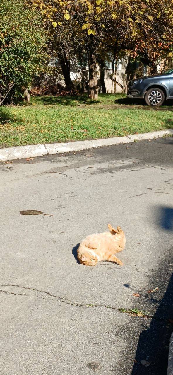 Доброго утра! Пусть вместе с ним придёт и вдохновение, пусть раннее солнце подарит хорошее настроение и уверенность в том, что всё будет чудесно