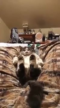 А вот и утро среды. Затяжные выходные закончились, просыпаемся и на работу