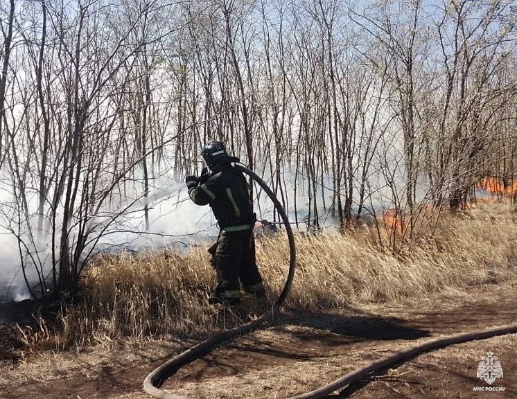 Оперативная информация за сутки