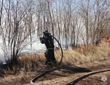 Оперативная информация за сутки