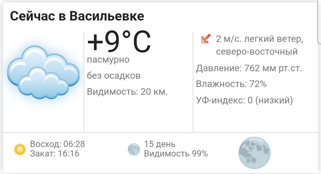 Сегодня, 5 ноября 2025 года в Васильевке пасмурно, без осадков
