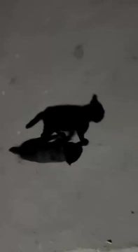 Спешим домой после работы. Осень, это когда идешь на работу еще темно, а возвращаешься — уже темно