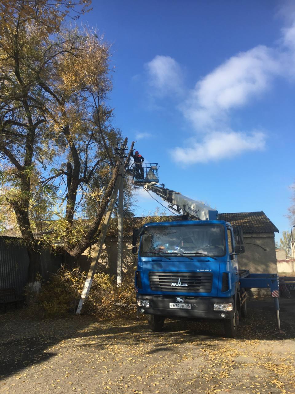 В Пологах пензенцы очистили линии электропередач от разросшихся деревьев В Пологах пензенцы очистили линии электропередач от разросшихся деревьев