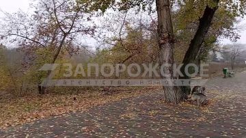 Ноябрьский туман серой дымкой окутывает по утрам Энергодар