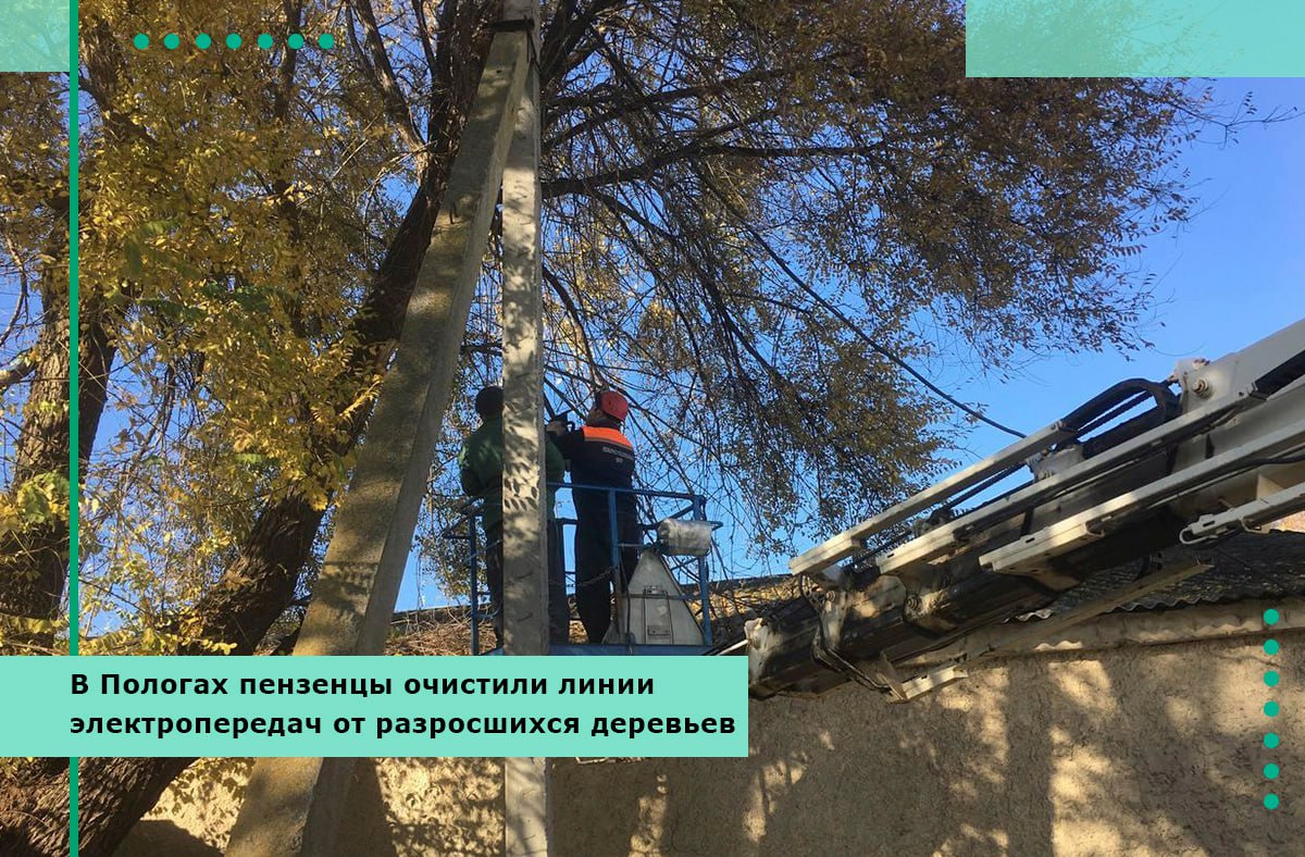 В Пологах пензенцы очистили линии электропередач от разросшихся деревьев