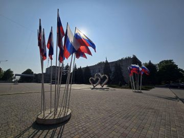 Представитель Мурманской области в Приморском муниципальном округе Ирина Гайдуковская поздравила жителей региона с Днём народного единства