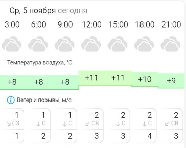 ПРОГНОЗ ПОГОДЫ. В среду, 5 ноября в Энергодаре пасмурно