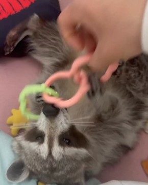 Доброе утро, друзья! Хорошего вам дня и отличного настроения!