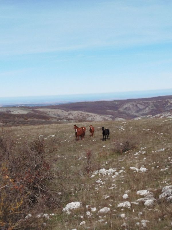 �� �������� ��� ��������� ������ ������