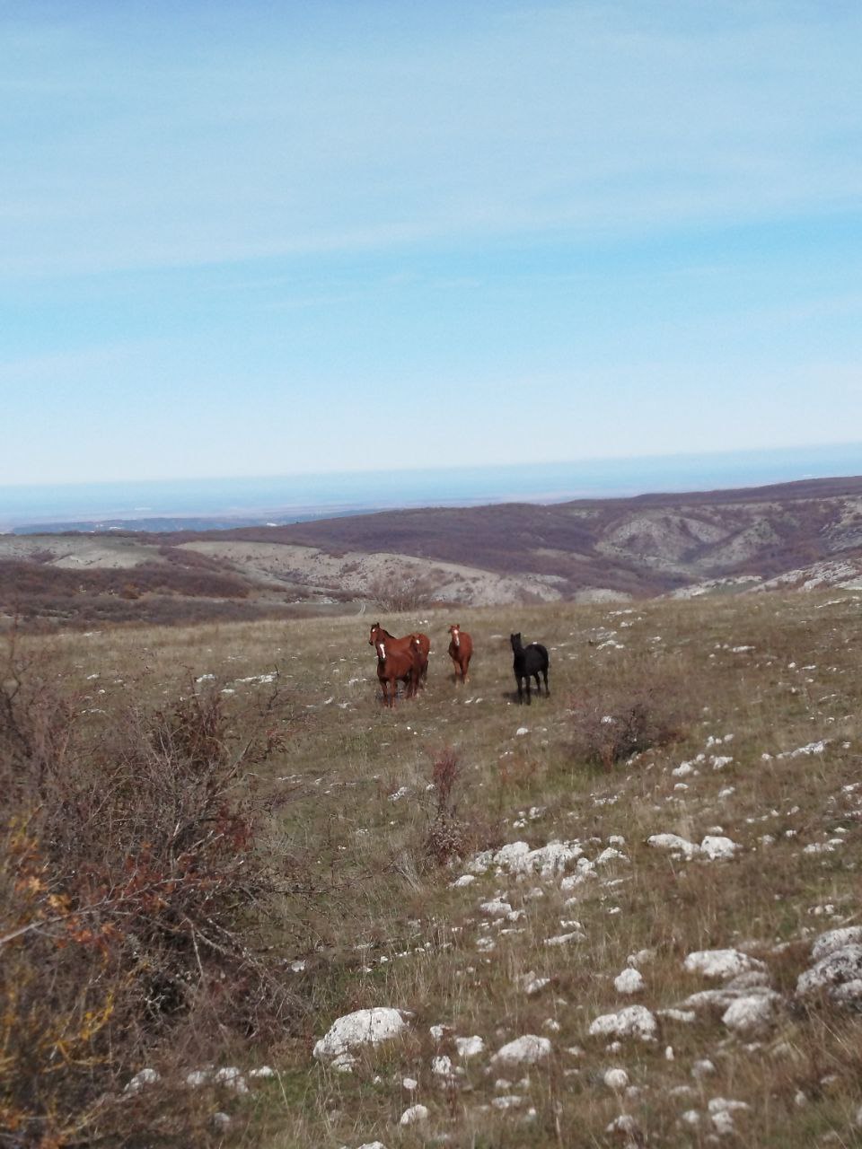 Из Крымских гор вернулась первая группа Из Крымских гор вернулась первая группа