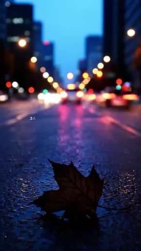 Доброй ночи! Завтра будет новый день и новые возможности!