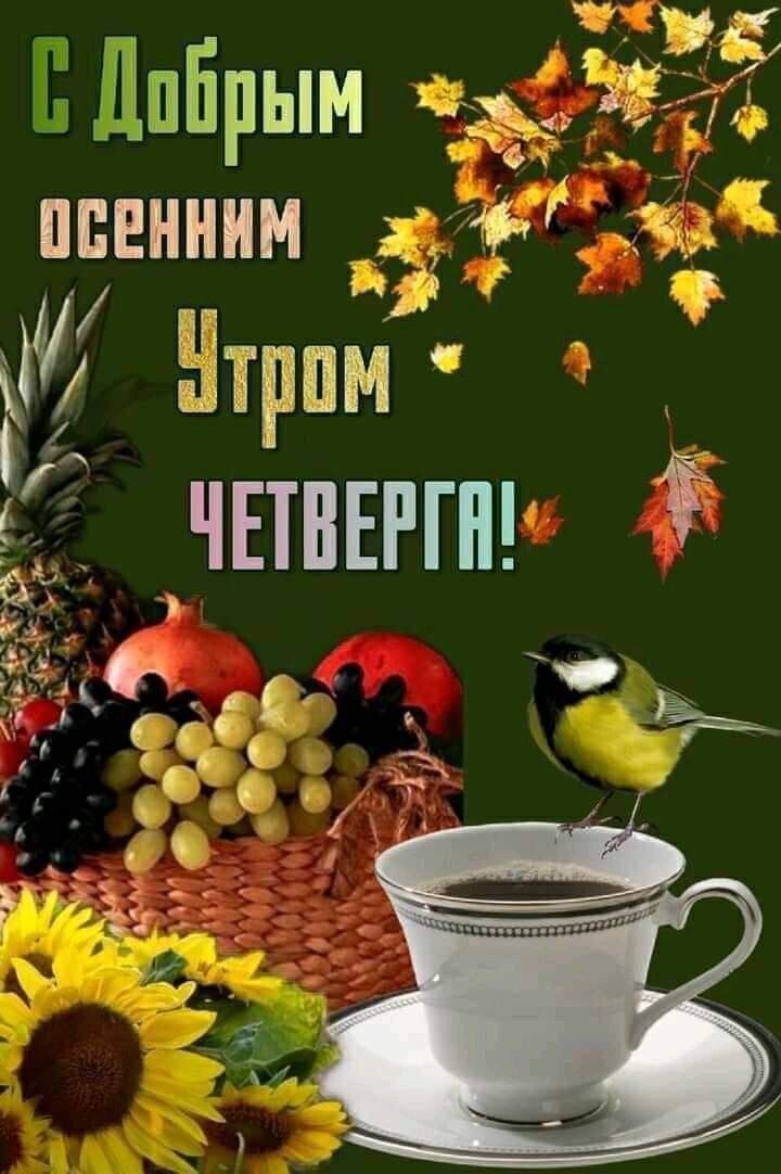 Доброе утро, Днепрорудное. Пусть исполняются мечты, и солнечным будет всегда настроение