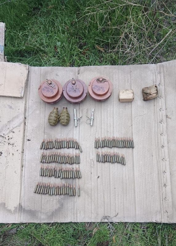 В Запорожской области сотрудники полиции выявили схрон с боеприпасами