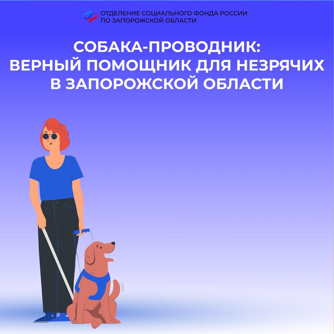 Как в Запорожской области получить собаку-поводыря в качестве средства реабилитации?