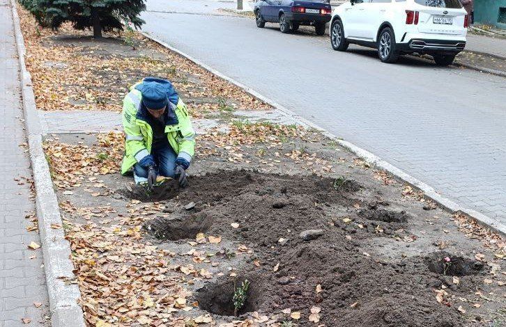 � ������ ���� ����� ����������� ������ ���������� ��� �� �������� ��������� ����� �������� ����� �� ��������������� �������