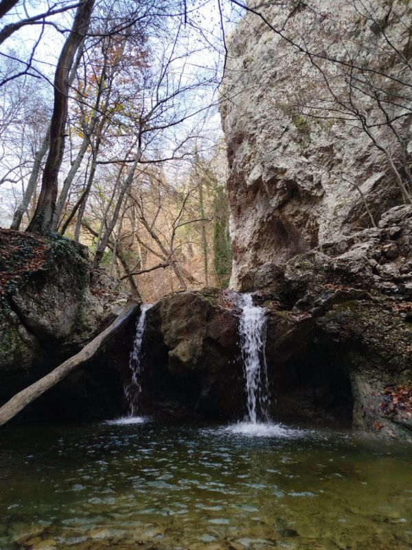 �� �������� ��� ��������� ������ ������