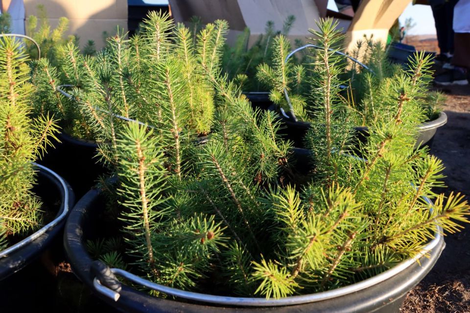 �������� ����������: ������, ������ � ���������� ������� �� ���, ������� �� ����� ���������� �� ���� ������ (��������, ������� �� ��������)